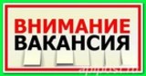 Администрация Кривошеинского района проводит собеседование на замещение вакантной должности- главного специалиста по молодежной политике и спорту